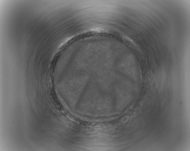 X0000066010776200603242056