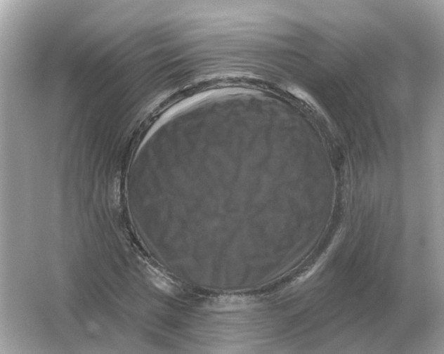 X0000066010777200603242056