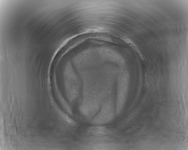 X0000066010784200603242056