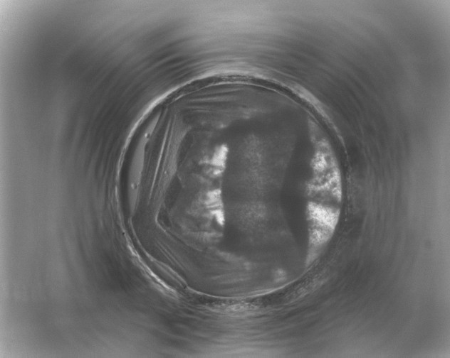 X0000066010791200603242056