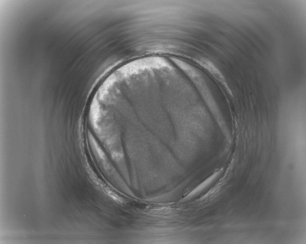 X0000066010798200603242056