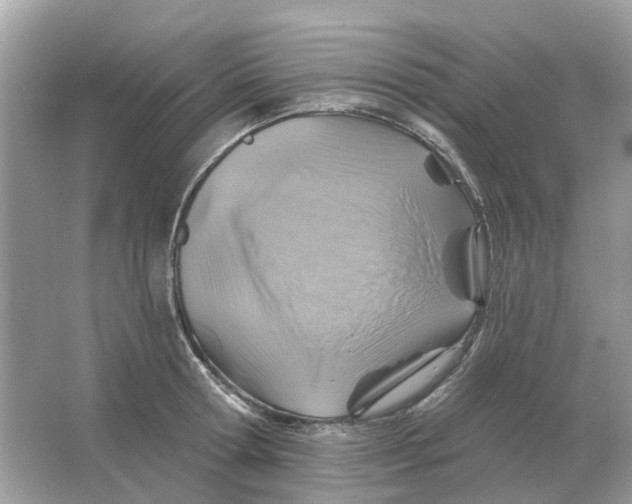 X0000066010802200603242056