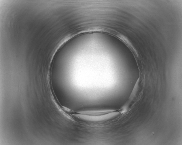 X0000066010805200603242056