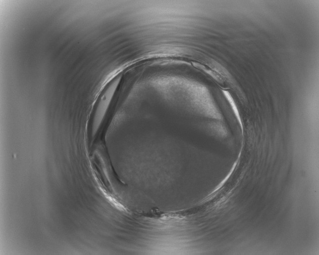 X0000066010842200603242055