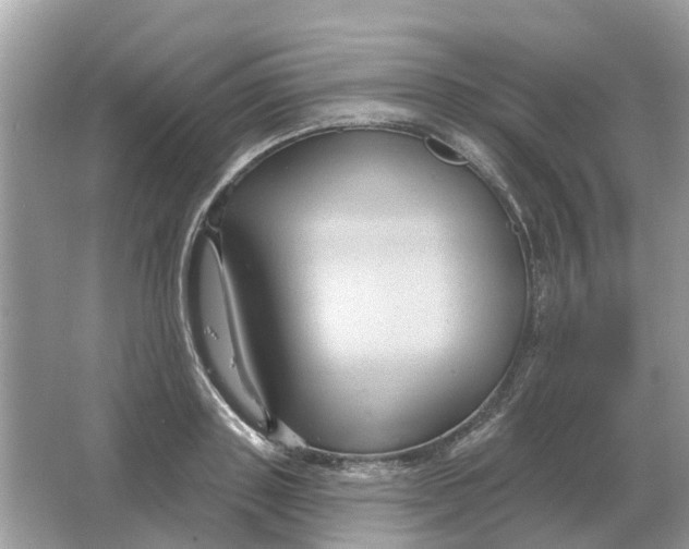 X0000066010843200603242055
