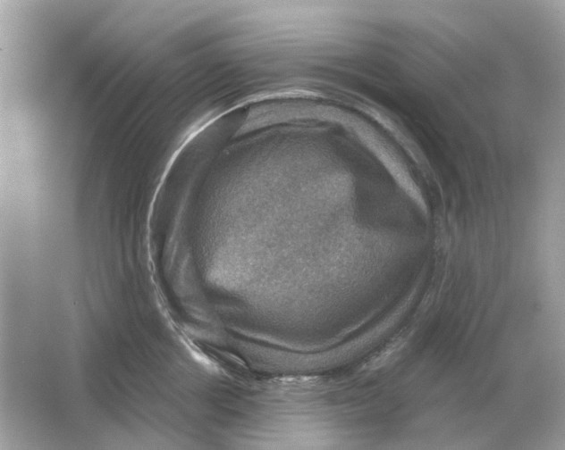 X0000066010858200603242056