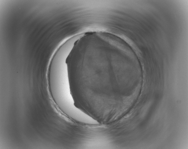 X0000066010864200603242056