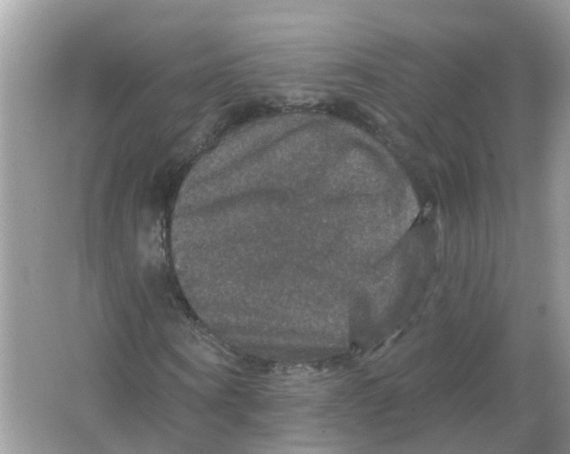 X0000066010866200603242055