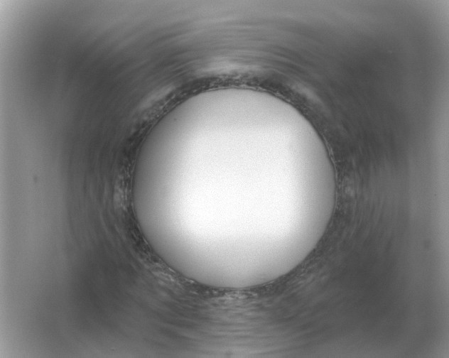 X0000066010869200603242055