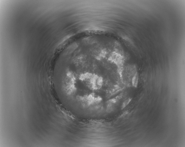 X0000066010870200603242055