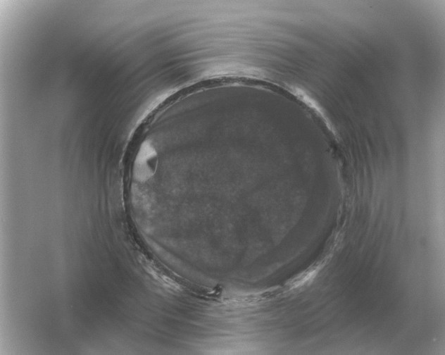 X0000066010877200603242055