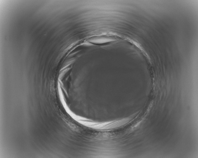 X0000066010881200603242055