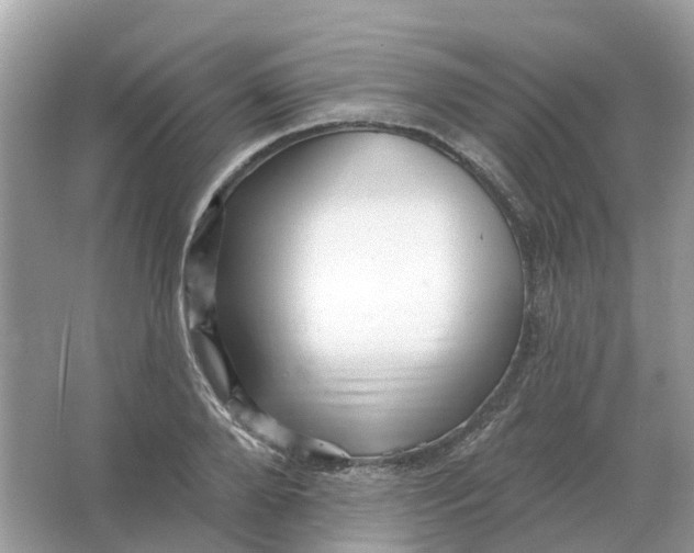 X0000066010888200603242055