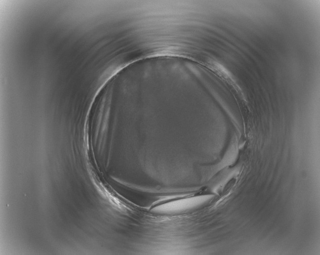 X0000066010892200603242054