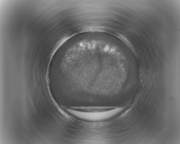 X0000066010893200603242054