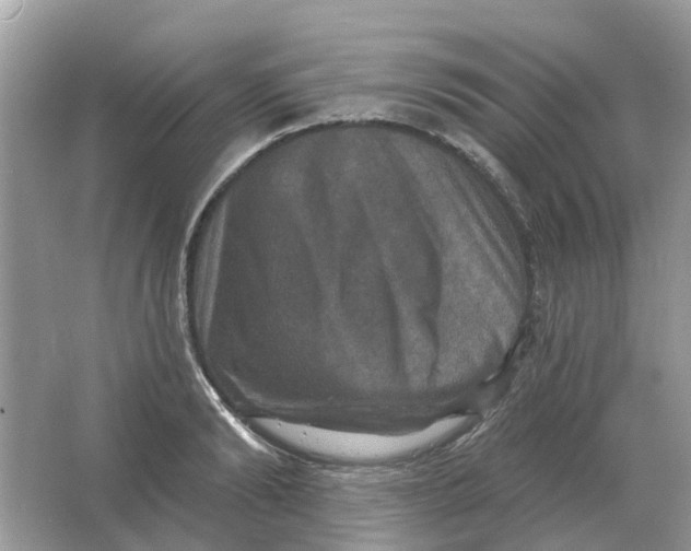 X0000066010894200603242054