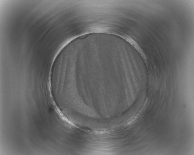 X0000066010904200603242054