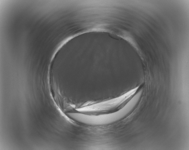 X0000066010910200603242054
