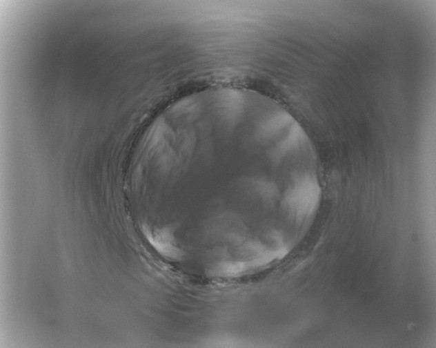 X0000066010913200603242053