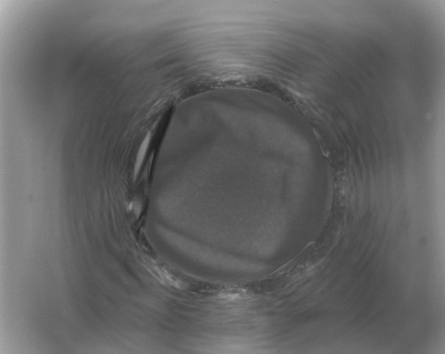 X0000066010916200603242053