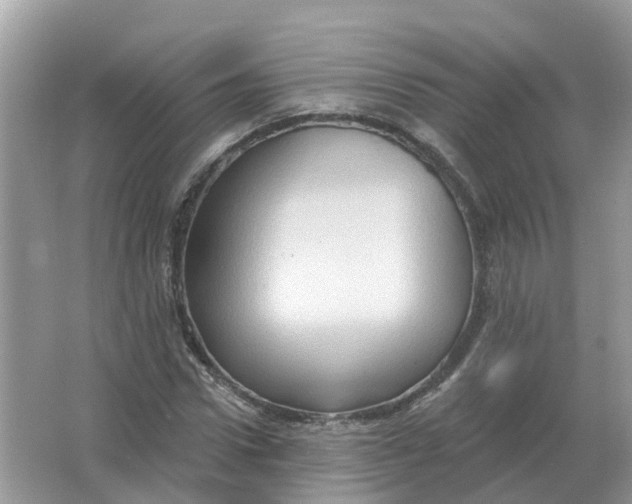 X0000066010922200603242053