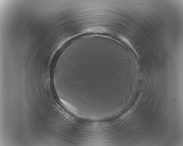 X0000066010923200603242053