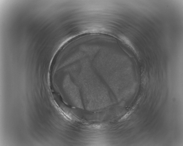 X0000066010932200603242054