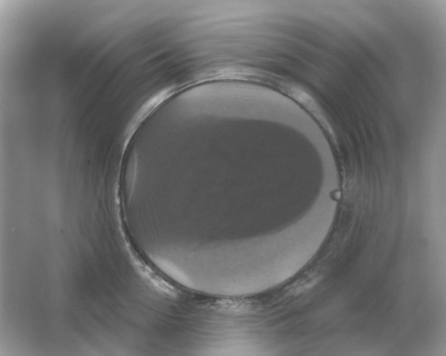 X0000066010954200603242054