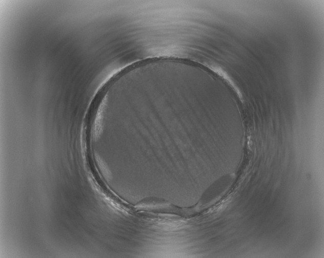 X0000066010983200603242053