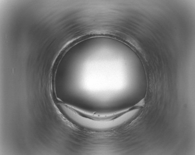 X0000066010984200603242053