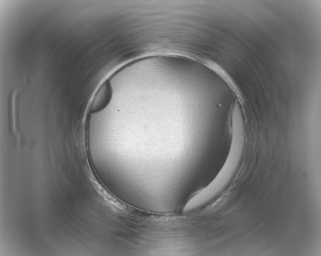 X0000066011004200603242053