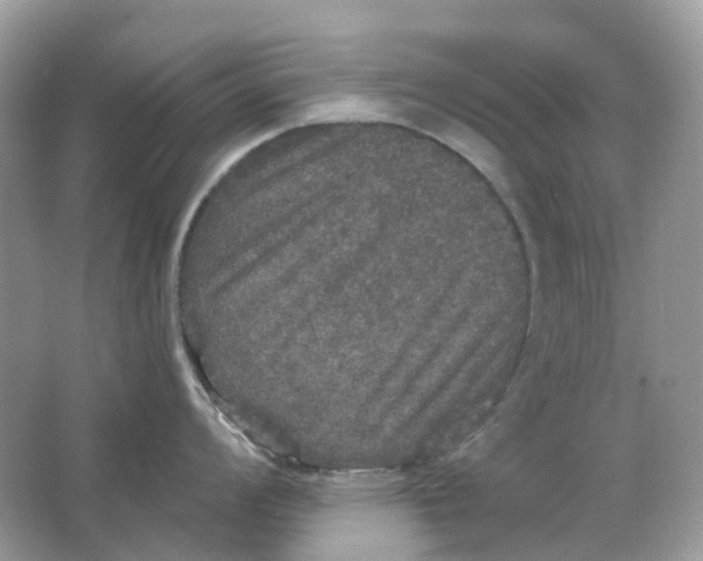 X0000066011008200603242052