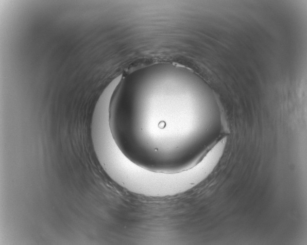 X0000066011010200603242052