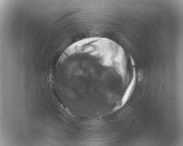 X0000066011011200603242052