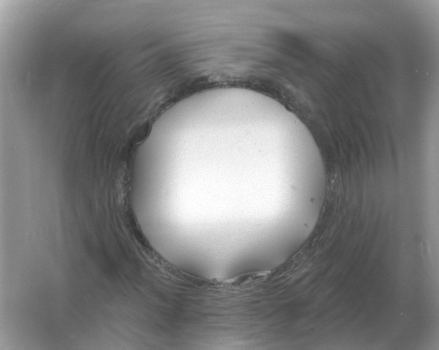 X0000066011012200603242052