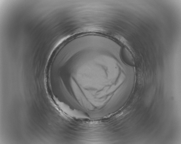 X0000066011024200603242052