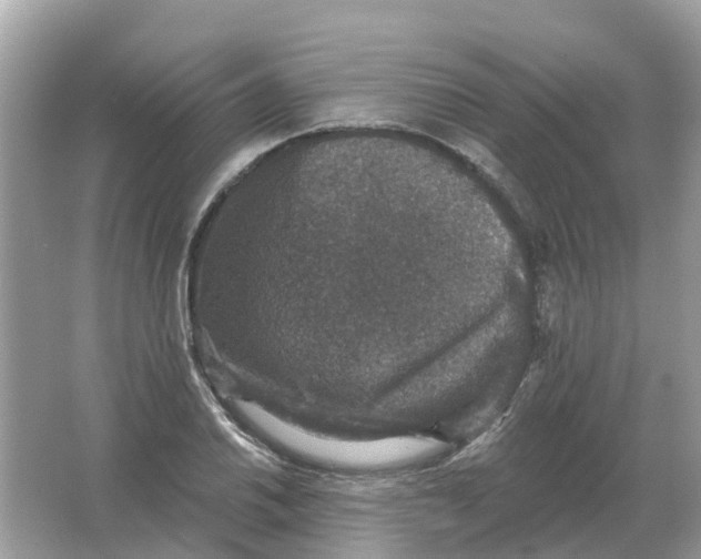 X0000066011030200603242052