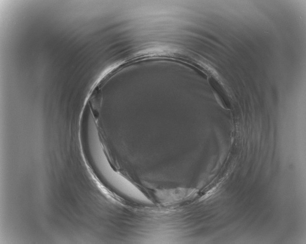 X0000066011034200603242052