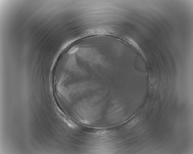 X0000066011035200603242052