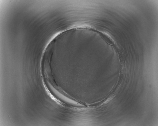 X0000066011038200603242052
