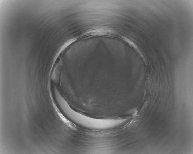 X0000066011042200603242052