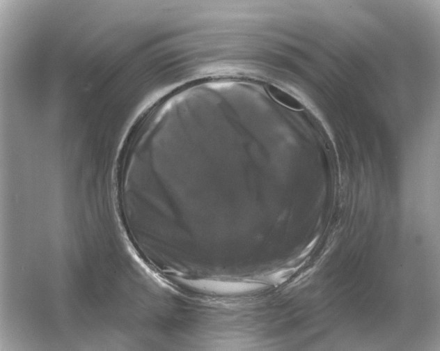 X0000066011045200603242052