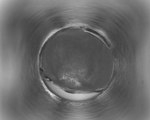 X0000066011046200603242052