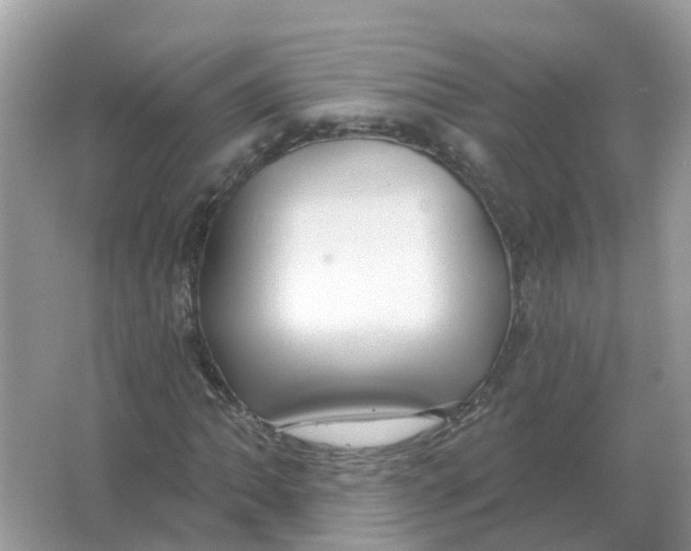 X0000066011062200603242052