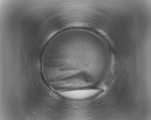 X0000066011065200603242052