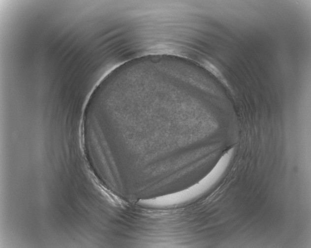X0000066011076200603242051