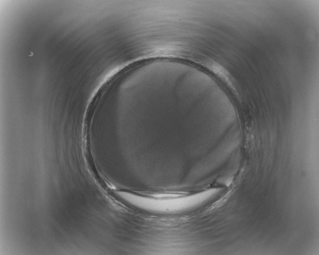 X0000066011077200603242051