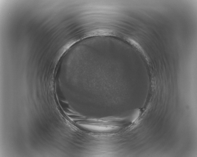 X0000066011081200603242051