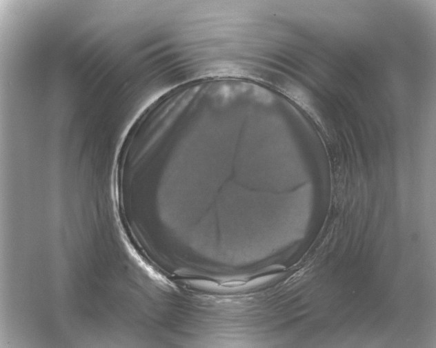 X0000066011084200603242051