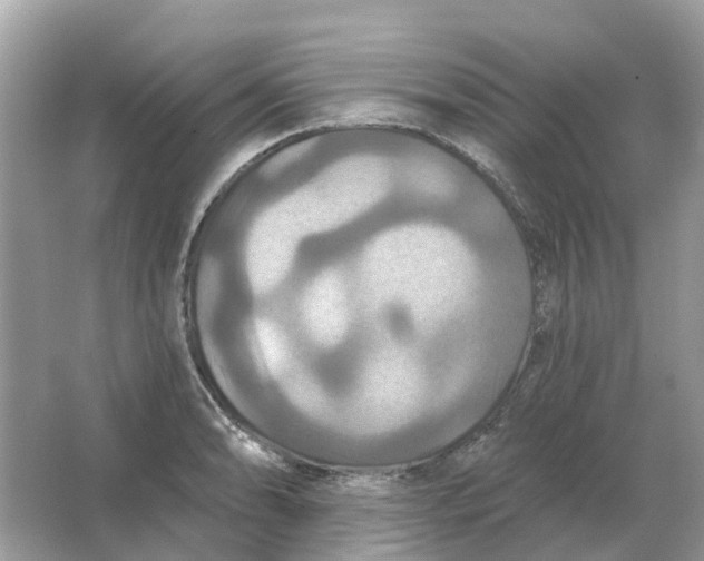 X0000066011086200603242051